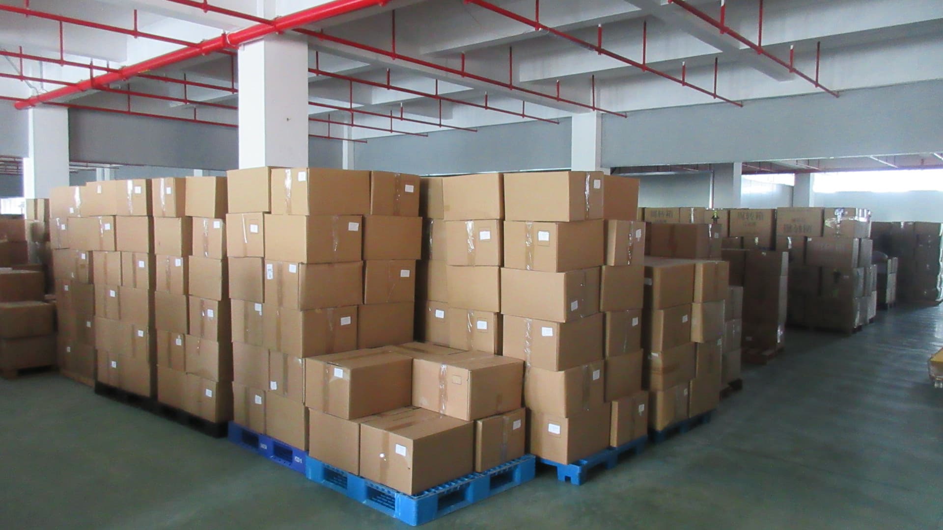 Finished Goods Warehouse Palletized